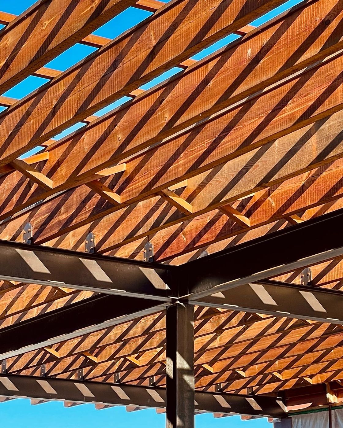 Looking up at sawn pine joists on a black steel frame against a blue sky.