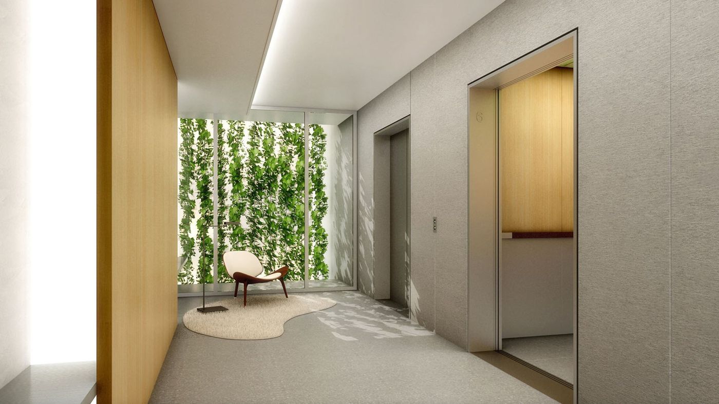 A pale corridor with lift doors, a timber-lined wall and a planted wall at the far end.